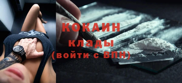 дмт Болотное